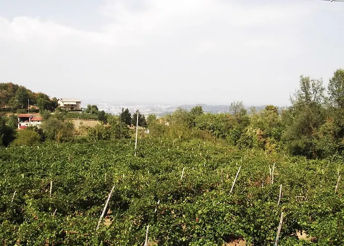 La Panoramica Perarolo